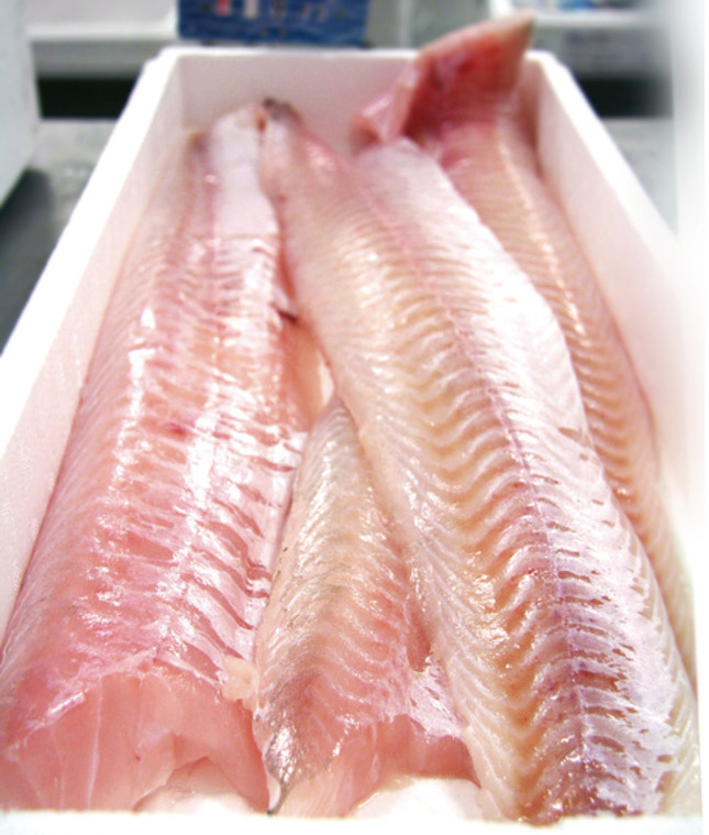 羽鼬鳚鱼片ling fillet