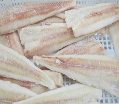 狭鳕鱼片Pollock fillet