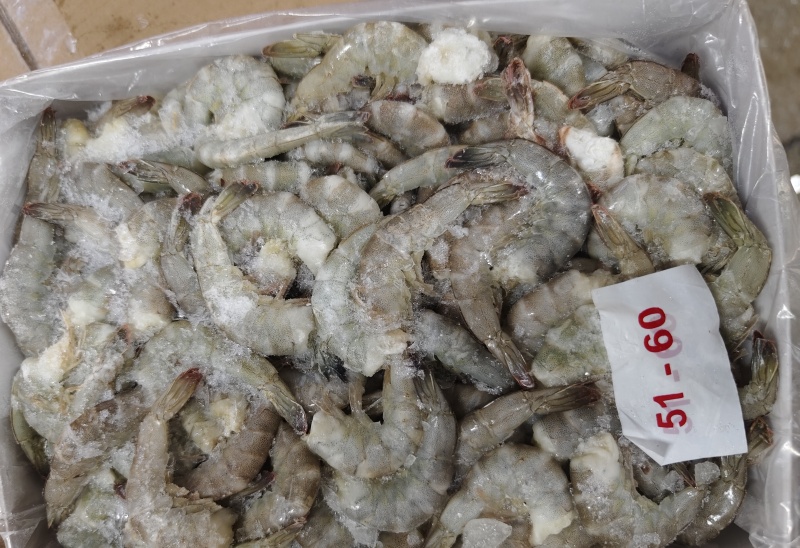 南美对虾vannamei shrimp