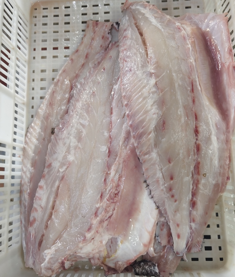 鮸鱼肉（片）corvina fillet/blackspotted croaker fillet